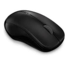 RAPOO WIRELESS OPTICAL MOUSE 1620