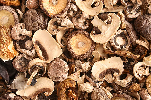 Dried Mushroom Mix