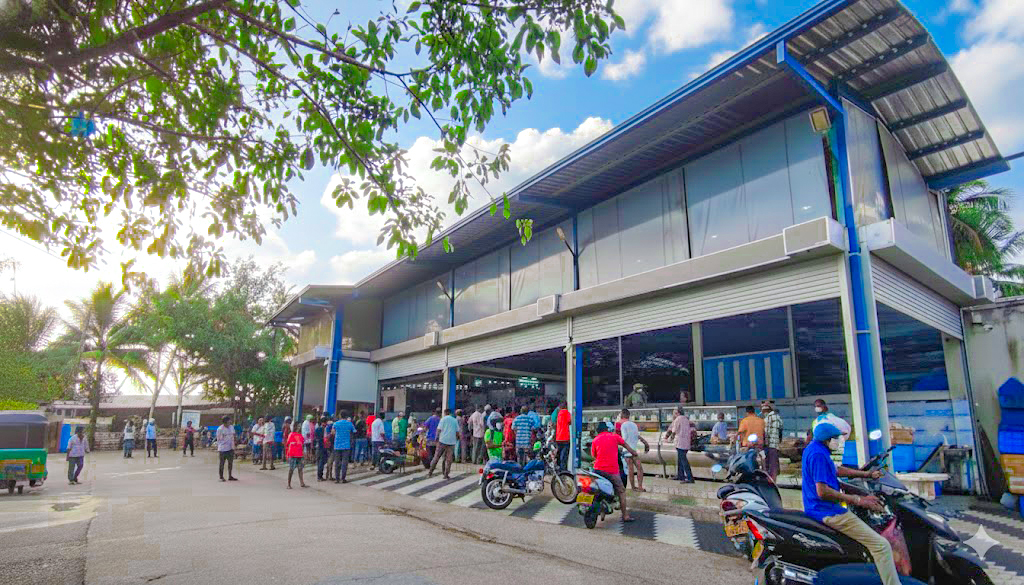 Panadura fish market